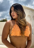 Bikini Triangulo Hoja #731